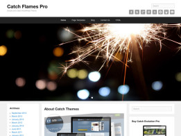 Catch Flames Pro